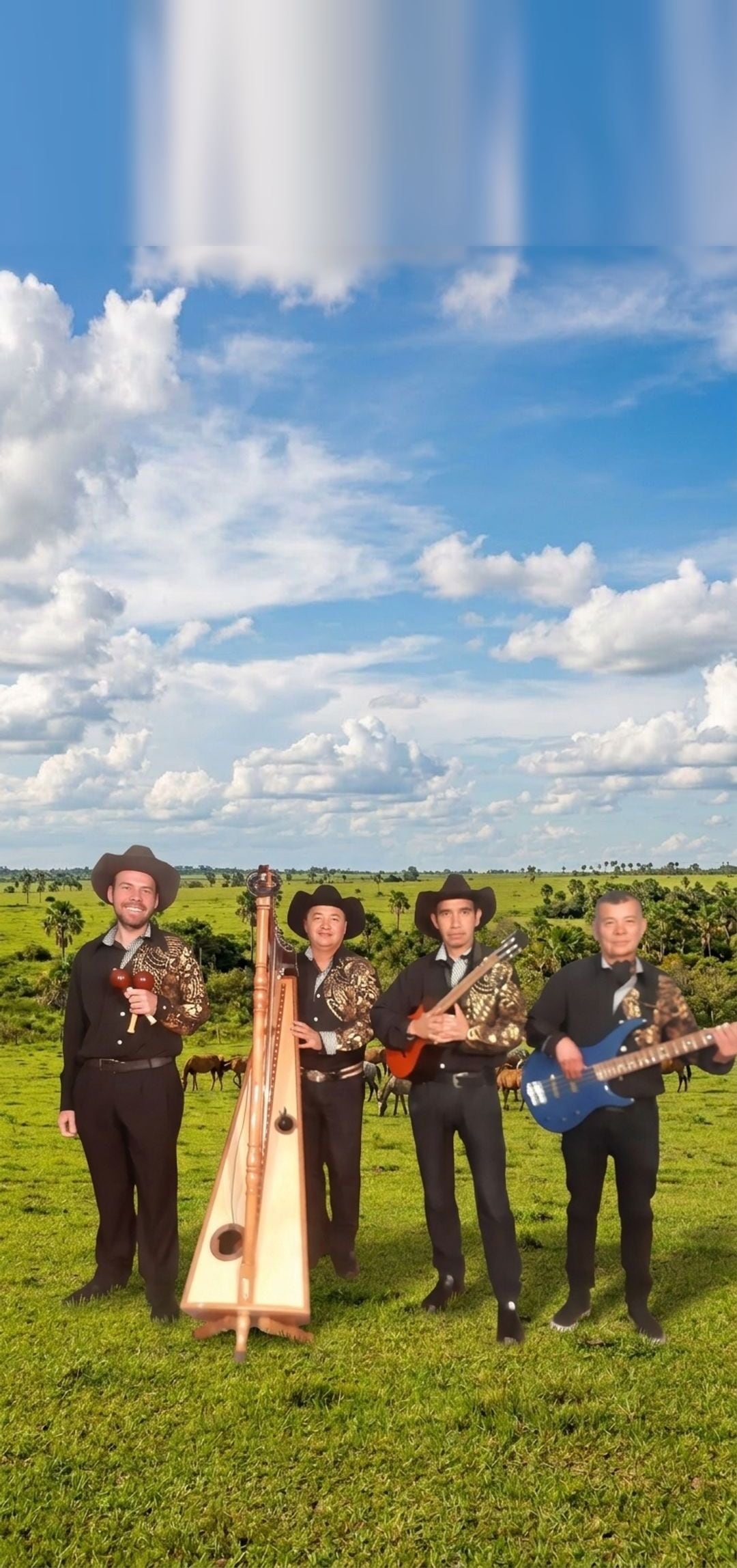 Grupo Llanero Villavicencio con arpa, cuatro, maracas y bajo en la sabana llanera